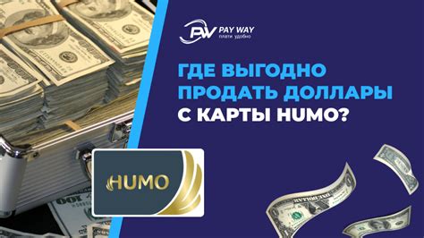 азартный игра на доллары лучший курс в москве